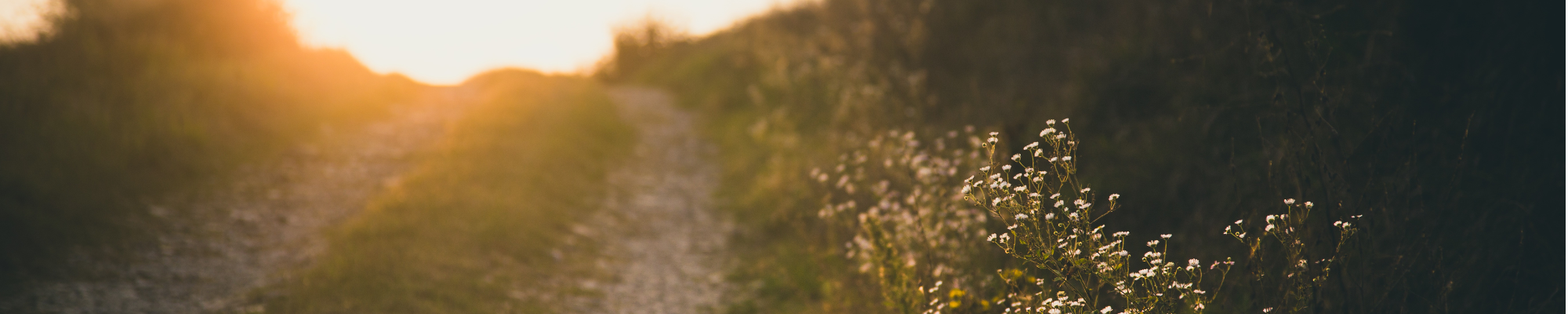 株式会社サン・メディアソリューション